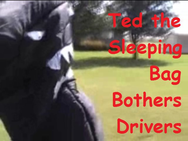 Ted the Sleeping Bag